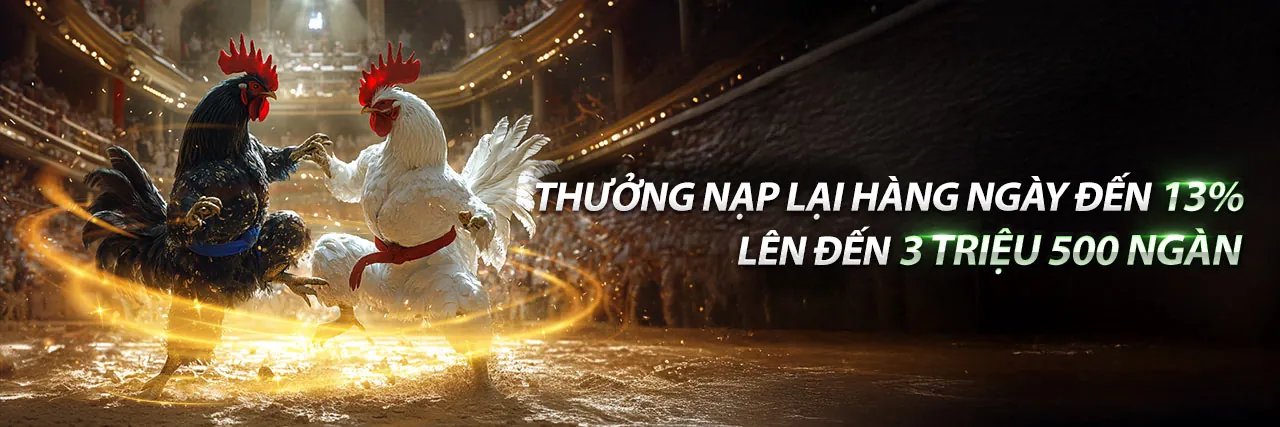 Đá gà trực tuyến kịch tính tại đấu trường ảo